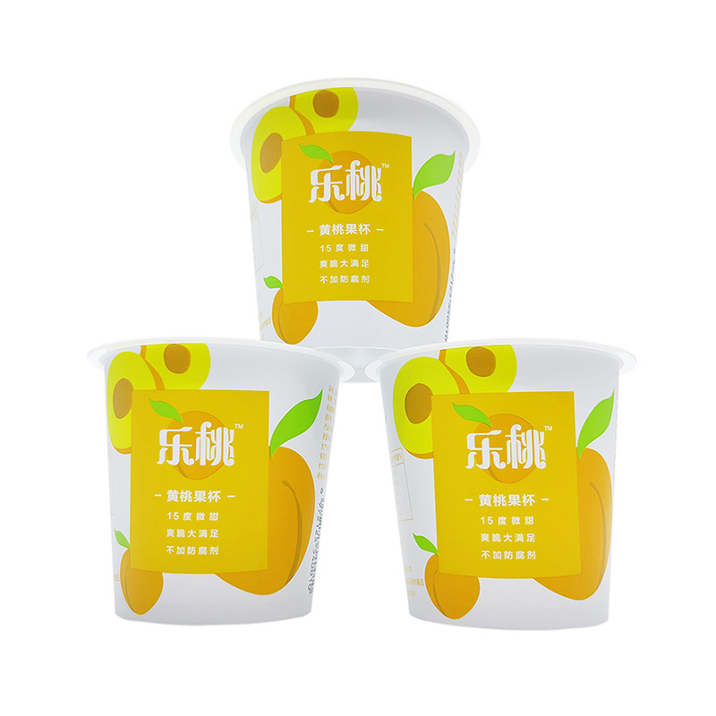 PP Plastic Injection Molding Container